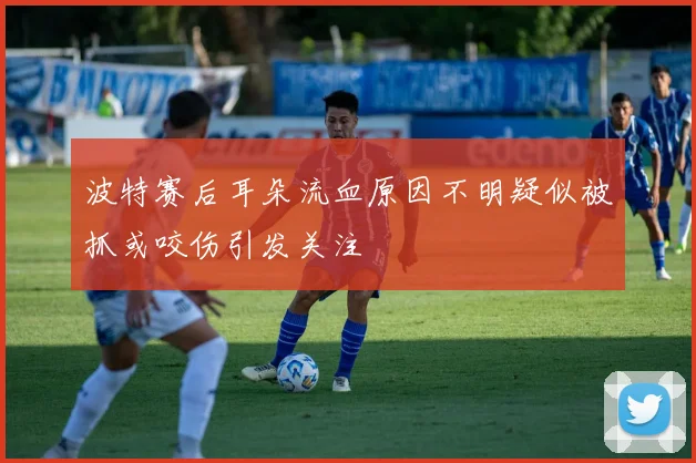波特赛后耳朵流血原因不明疑似被抓或咬伤引发关注